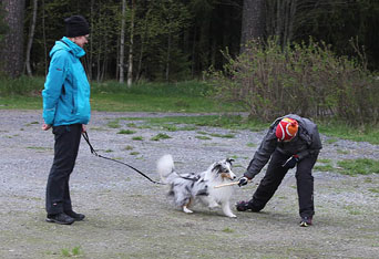 Tiina ja Neppari