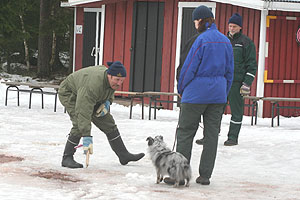 Mimmin luonnetesti