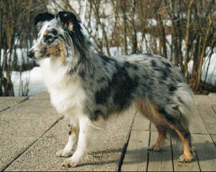 Oona
